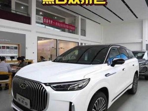 国产 SUV 精二区九色：家用与越野的完美结合