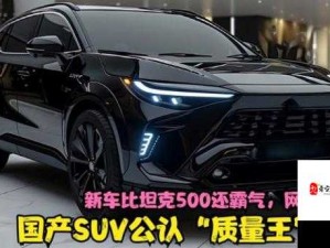 国产 SUV 欧洲版：品质与性价比的完美结合