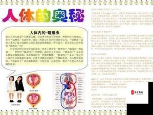 丰满的㥰子 2 理论视频在线观看：深入探讨女性身体奥秘