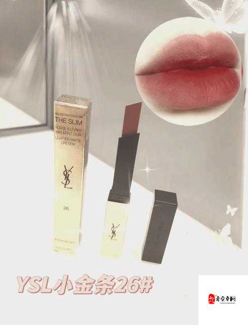 科普 YSL 水蜜桃色号 1258 ：探索其独特魅力与适用场景