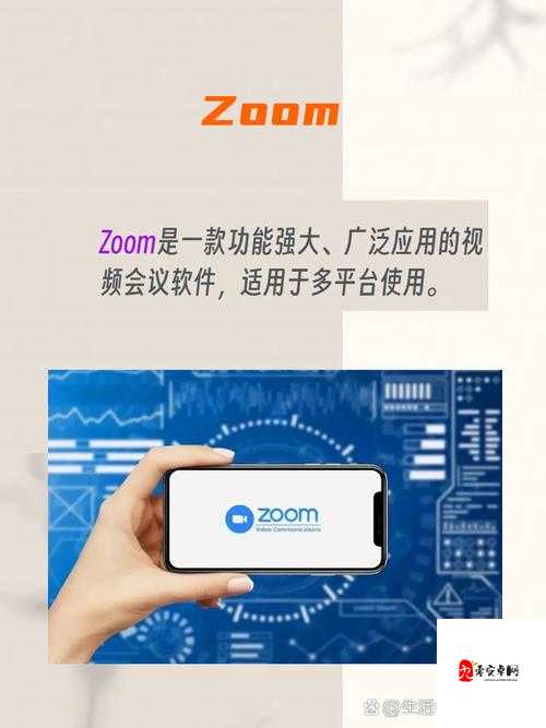 ZOOM 与 ZOOMHD 性能全方位比较分析