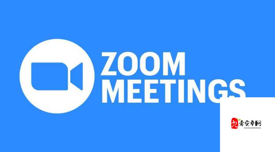 兽王 ZOOM CLOUD MEETINGS：在线会议新选择，高效便捷沟通无限