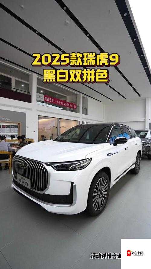 国产 SUV 精二区九色：家用与越野的完美结合