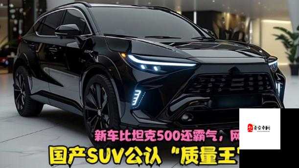 国产 SUV 欧洲版：品质与性价比的完美结合