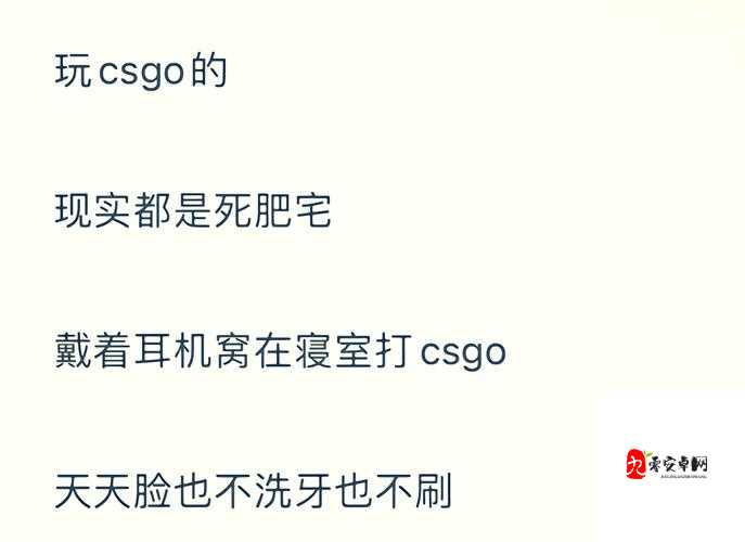 暴躁CSGO女性火爆全网：其背后的游戏魅力与独特风采